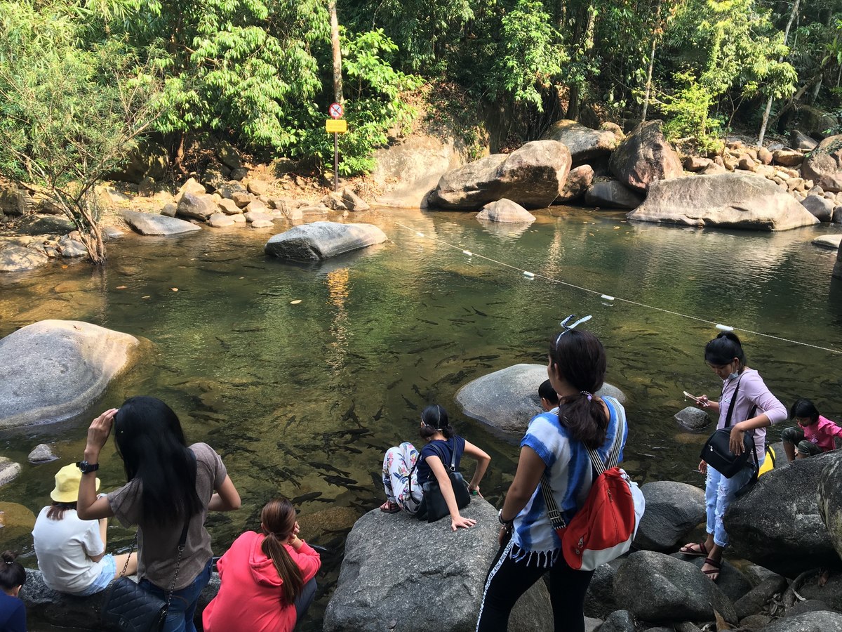 知る人ぞ知る タイの プリオの滝 で自然を大満喫